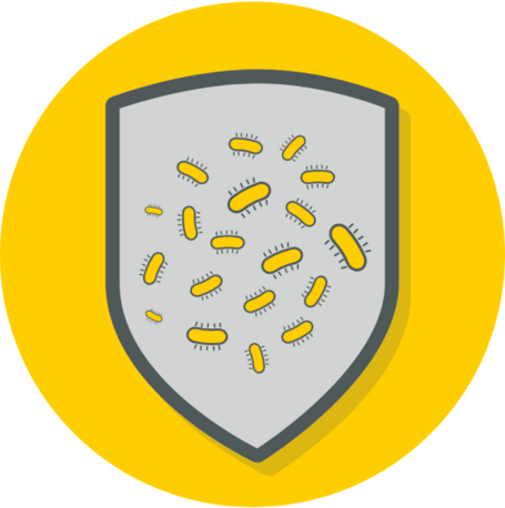 Illustration of a shield with probiotic bacteria inside, symbolizing protection, set against a yellow circular background