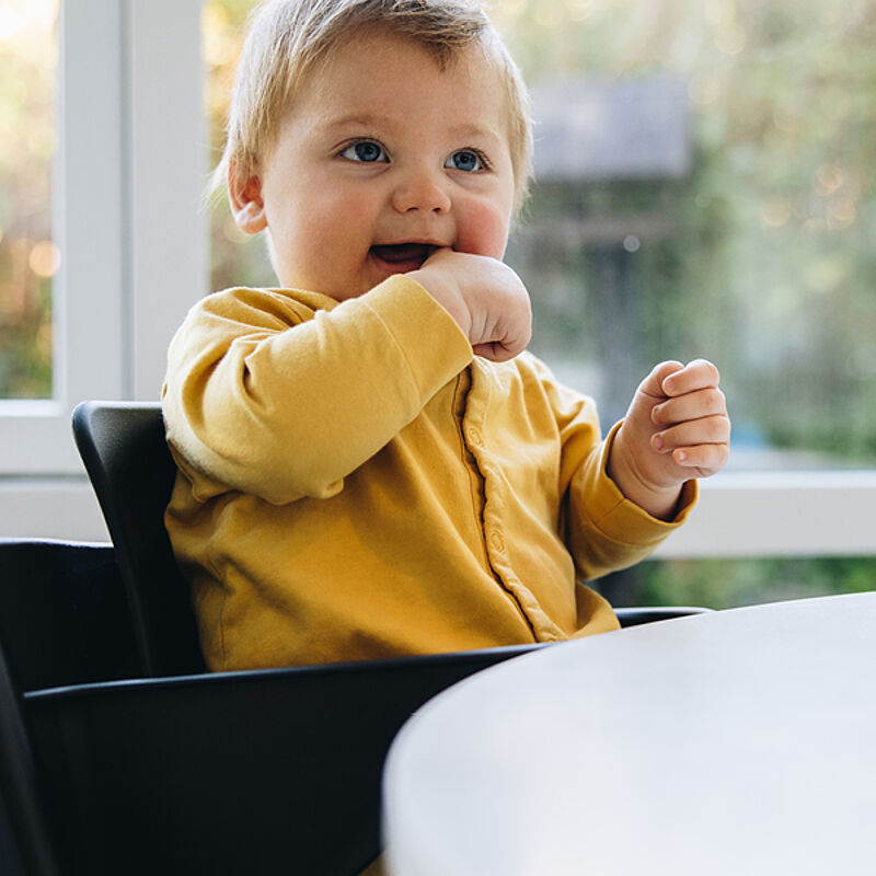 Microbiota Development Microbiota Development